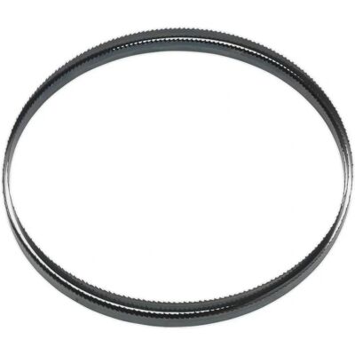Sealey SM1304B10 Bandsaw Blade - 1712 mm, 10 TPI, Silver Sealey SM1304B10 Bandsaw Blade - 1712 mm, 10 TPI, Silver