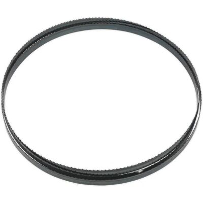 Taśma do piły taśmowej Sealey SM1305B06 - 2240 x 12 x 0,6mm - Elastyczna, 6 tpi Taśma do piły taśmowej Sealey SM1305B06 - 2240 x 12 x 0,6mm - Elastyczna, 6 tpi