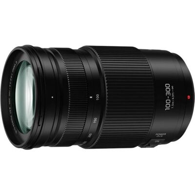 Panasonic Lumix G Vario 100-300mm f/4-5.6 II Power OIS Telephoto Lens Panasonic Lumix G Vario 100-300mm f/4-5.6 II Power OIS Telephoto Lens