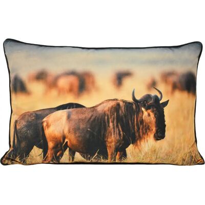 Paoletti Gnu-Fotoprintkissen - Tan - Größe 40cm x 60cm Paoletti Gnu-Fotoprintkissen - Tan - Größe 40cm x 60cm