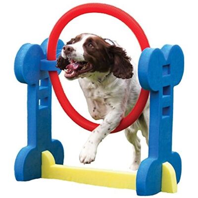 Rosewood Small Dog Agility Hoop - Dog Agility Toy Rosewood Small Dog Agility Hoop - Dog Agility Toy