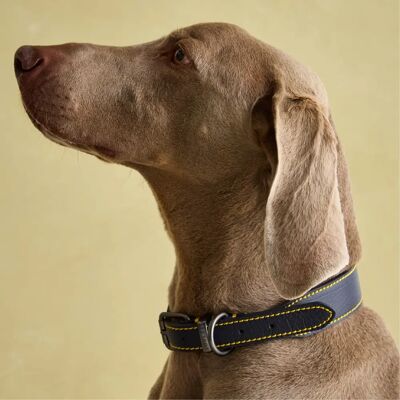 Joules Leather Dog Collar - French Navy Large 18-22" Joules Leather Dog Collar - French Navy Large 18-22"