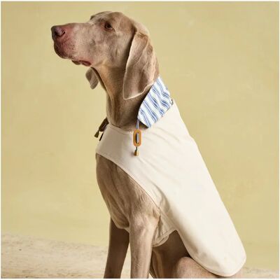 Imperméable Joules Sandshell pour chiens - Grand Imperméable Joules Sandshell pour chiens - Grand