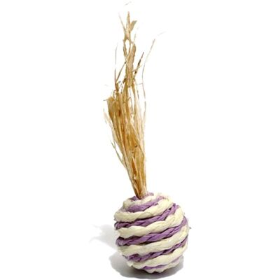 Rosewood Wacky Rollers Smådyr-leke - 2 stk Rosewood Wacky Rollers Smådyr-leke - 2 stk