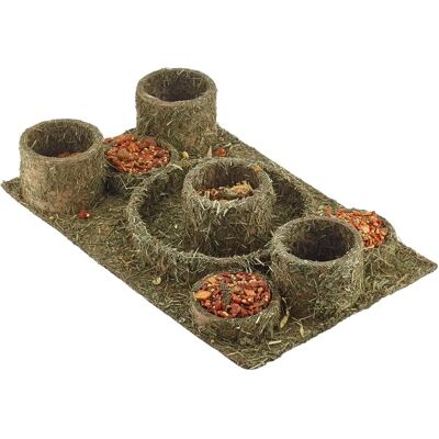 Rosewood Naturals Hide N Treat Maze - Small Animal Puzzle Toy and Snack Rosewood Naturals Hide N Treat Maze - Small Animal Puzzle Toy and Snack