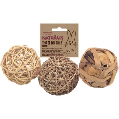 Rosewood Vervelingsstoppers Speelballen - Kleine Dieren Speelgoed Rosewood Vervelingsstoppers Speelballen - Kleine Dieren Speelgoed