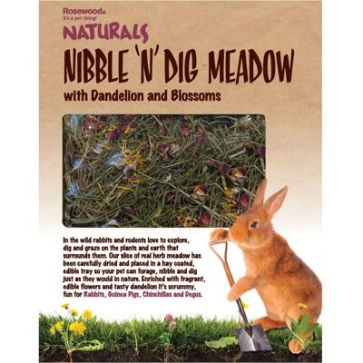 Rosewood Naturals Nibble 'n' Dig Meadow with Dandelion and Blossoms - Pet Treat Rosewood Naturals Nibble 'n' Dig Meadow with Dandelion and Blossoms - Pet Treat