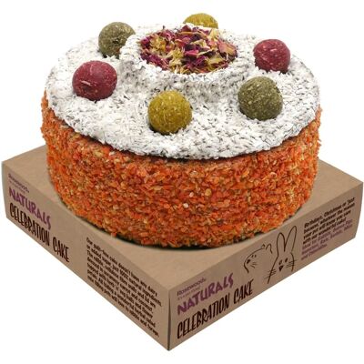 Rosewood Small Animal Treats Celebration Cake - Pet Treat Rosewood Small Animal Treats Celebration Cake - Pet Treat