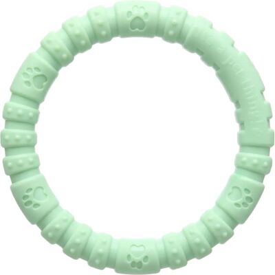 Rosewood Large Mint Nylon Dog Toy - Dog Toy Rosewood Large Mint Nylon Dog Toy - Dog Toy