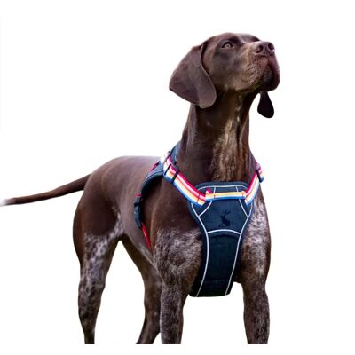 Joules Regenbogen Geschirr Klein - Hundegeschirr Joules Regenbogen Geschirr Klein - Hundegeschirr
