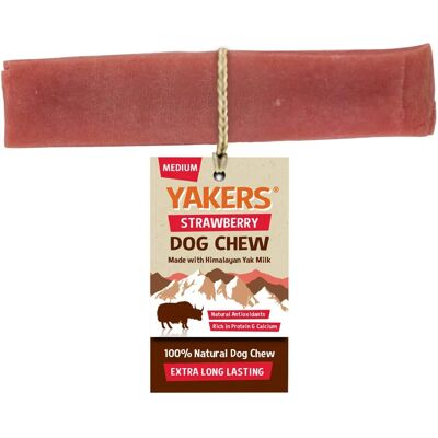 Yakers Medium Himalayan Dog Chew - Dog Chew Yakers Medium Himalayan Dog Chew - Dog Chew