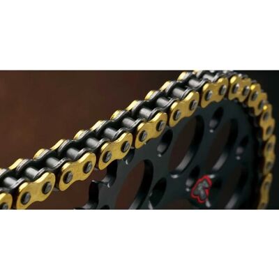 Catena di trasmissione Renthal 520 R1 Works - Resistenza Off-Road Catena di trasmissione Renthal 520 R1 Works - Resistenza Off-Road