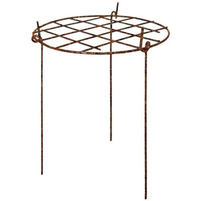 Garden Pride - Grow-Through - 76 cm - Plant Supports Garden Pride - Grow-Through - 76 cm - Plant Supports