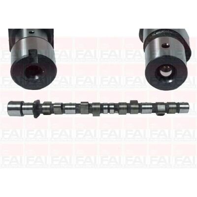 FAI AutoParts C175 Άξονας εκκεντροφόρου BMW - Ανταλλακτικό κινητήρα για σειρά 3, 5 FAI AutoParts C175 Άξονας εκκεντροφόρου BMW - Ανταλλακτικό κινητήρα για σειρά 3, 5