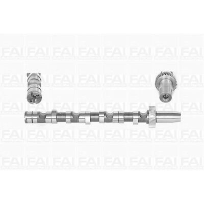 FAI AutoParts C245 Albero a camme - Per cilindri 4-6 FAI AutoParts C245 Albero a camme - Per cilindri 4-6