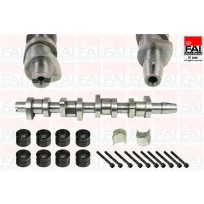 FAI AutoParts Juego de árbol de levas CSK248C - Juego de árbol de levas FAI AutoParts Juego de árbol de levas CSK248C - Juego de árbol de levas
