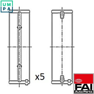 FAI AutoParts BM1029-STD Cojinete de cigüeñal - Cojinete de cigüeñal FAI AutoParts BM1029-STD Cojinete de cigüeñal - Cojinete de cigüeñal