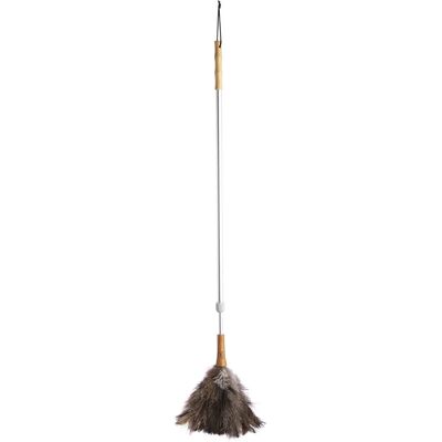 Living Nostalgia Ostrich Feather Duster - Natural Cleaning Tool Living Nostalgia Ostrich Feather Duster - Natural Cleaning Tool
