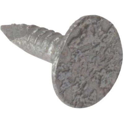 Clou de feutre galvanisé ForgeFix 20mm - Clou de toiture - 2.5kg - Publicité Clou de feutre galvanisé ForgeFix 20mm - Clou de toiture - 2.5kg - Publicité