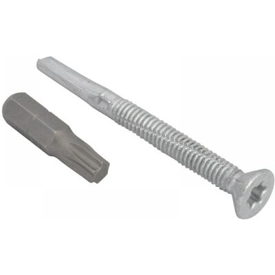 Vis de Toiture Forgefix Forge TFCH5560 Acier Lourds 5,5x60mm - Publicité Vis de Toiture Forgefix Forge TFCH5560 Acier Lourds 5,5x60mm - Publicité