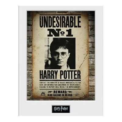 Impression de collection Harry Potter 30x40 cm - Affiche encadrée GB eye - Publicité Impression de collection Harry Potter 30x40 cm - Affiche encadrée GB eye - Publicité