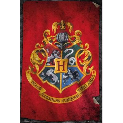 Harry Potter Hogwarts Vlag Multicolor - Poster Harry Potter Hogwarts Vlag Multicolor - Poster