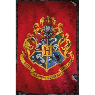 Harry Potter Hogwarts Vlag Multicolor - Poster Harry Potter Hogwarts Vlag Multicolor - Poster
