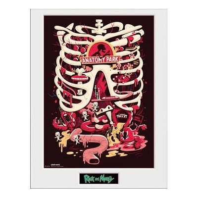 GB POSTERS Anatomie Park Poster - 30x40 cm - Wanddekoration GB POSTERS Anatomie Park Poster - 30x40 cm - Wanddekoration