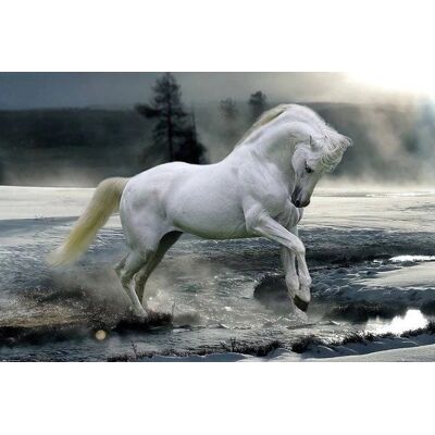 GB Eye Bob Langrish Cavallo nella Neve - Poster 61x91,5 cm GB Eye Bob Langrish Cavallo nella Neve - Poster 61x91,5 cm