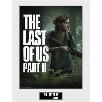 GB Eye The Last Of Us Part Ii - Gerahmtes Ellie-Bild - 30x40 cm GB Eye The Last Of Us Part Ii - Gerahmtes Ellie-Bild - 30x40 cm