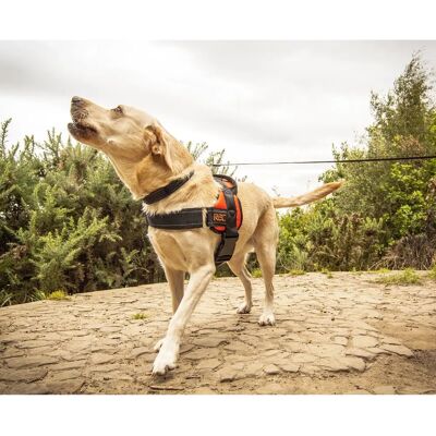 RAC Hunde-Geschirr Extra Large - Reflektierend, Kein-Ziehhalsband, Verstellbar RAC Hunde-Geschirr Extra Large - Reflektierend, Kein-Ziehhalsband, Verstellbar