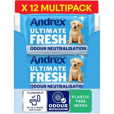 Andrex Brown 12 Pack Toilet Wipes - Toilet Wipes Andrex Brown 12 Pack Toilet Wipes - Toilet Wipes