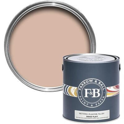Farrow & Ball Dead Flat Setting Plaster No.231 - 2,5L Farrow & Ball Dead Flat Setting Plaster No.231 - 2,5L