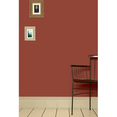 Farrow & Ball Estate No.42 Rouge Peinture - 2.5L Emulsion Intérieure - Publicité Farrow & Ball Estate No.42 Rouge Peinture - 2.5L Emulsion Intérieure - Publicité