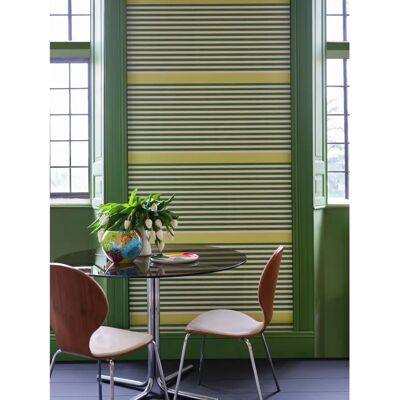 Farrow & Ball Raw Tomatillo - 5L - Modern Eggshell - Paint Farrow & Ball Raw Tomatillo - 5L - Modern Eggshell - Paint