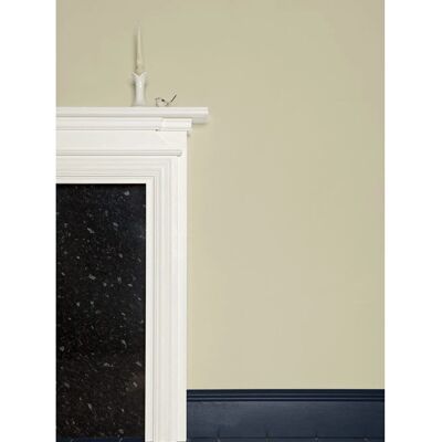 Farrow & Ball Modern Emulsion Bone No.15 - Paint Farrow & Ball Modern Emulsion Bone No.15 - Paint