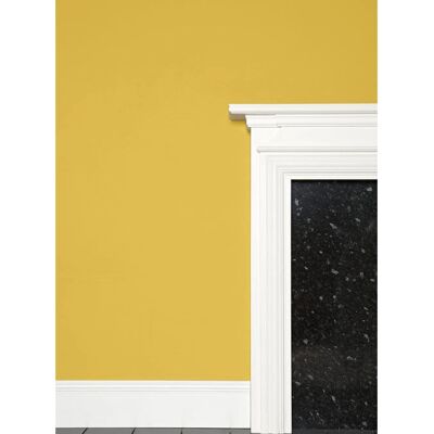 Farrow & Ball Modern Matt Emulsion Babouche Nr.223 - 2,5L Farrow & Ball Modern Matt Emulsion Babouche Nr.223 - 2,5L