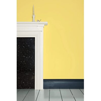 Farrow & Ball Dayroom Yellow Nr.233 5L Moderne Emulsion - Wandfarbe Farrow & Ball Dayroom Yellow Nr.233 5L Moderne Emulsion - Wandfarbe