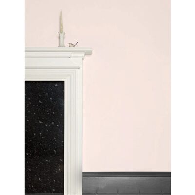 Farrow & Ball Middleton Pink No.245 - Emulsion Paint Farrow & Ball Middleton Pink No.245 - Emulsion Paint