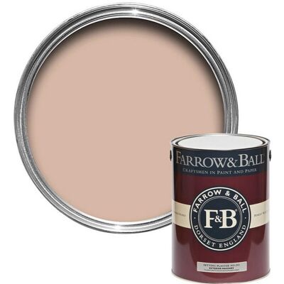 Farrow & Ball Pinky-brown Exterior Masonry Paint - 15 Years Durable Finish Farrow & Ball Pinky-brown Exterior Masonry Paint - 15 Years Durable Finish