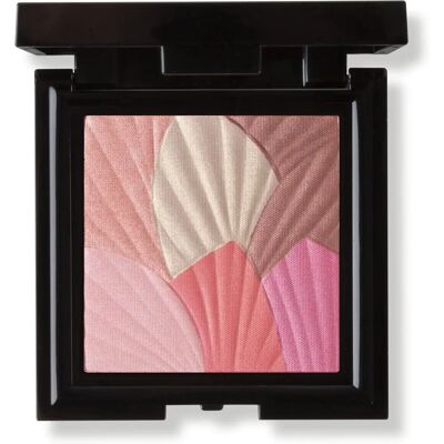 Mii Cosmetics - Celestial Skin Shimmer Blusher & Highlighter Mii Cosmetics - Celestial Skin Shimmer Blusher & Highlighter