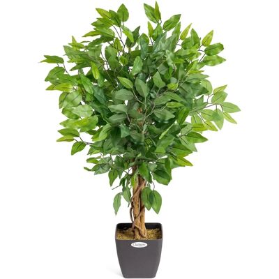 Christow Artificial Green Ficus Tree - 3ft, 4ft & 5ft - Ficus Tree Christow Artificial Green Ficus Tree - 3ft, 4ft & 5ft - Ficus Tree