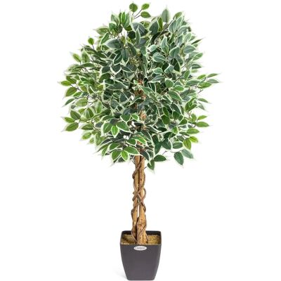 Christow Artificial Variegated Ficus Tree - Green - Indoor Plant Christow Artificial Variegated Ficus Tree - Green - Indoor Plant