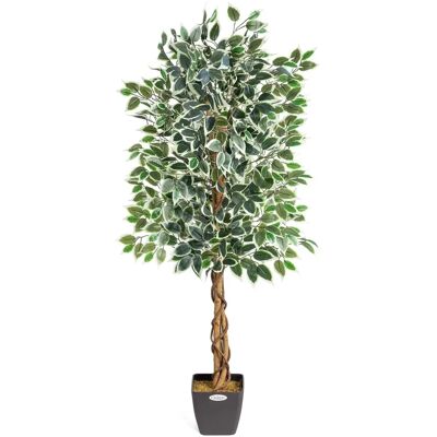 Christow Artificial Variegated Ficus Tree - Green - 150cm Christow Artificial Variegated Ficus Tree - Green - 150cm