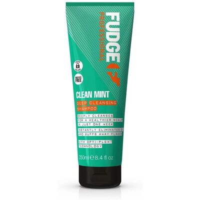 Fudge Mint Deep Cleansing Shampoo - Shampoo Fudge Mint Deep Cleansing Shampoo - Shampoo