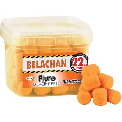 Dynamite Baits Catfish Belachan Pop Ups - Cebo para peces gato Dynamite Baits Catfish Belachan Pop Ups - Cebo para peces gato
