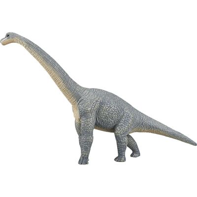 Mojo Fun Brachiosaurus - Figura di Dinosauro Animal Planet Mojo Fun Brachiosaurus - Figura di Dinosauro Animal Planet