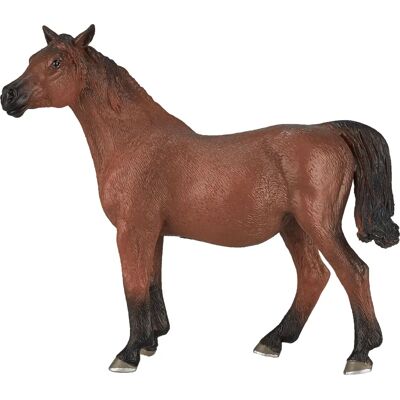 Mojo Horse World Ippica Arabica in Doppia Mojo Horse World Ippica Arabica in Doppia