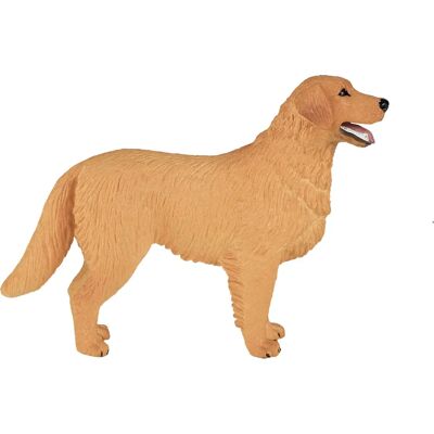 Mojo Golden Retriever - Figura educativa Mojo Golden Retriever - Figura educativa