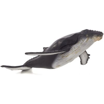 Velryba Mojo Sealife - Vzdělávací Mořský Hračka Velryba Mojo Sealife - Vzdělávací Mořský Hračka